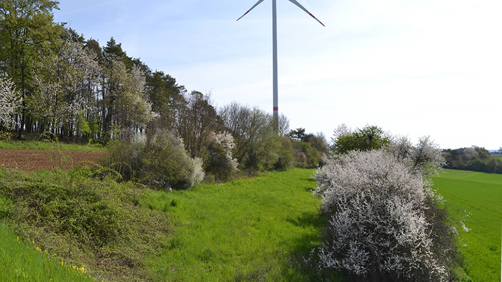 Biotop-Kartierung Lkr Bayreuth-Süd 2021-2025